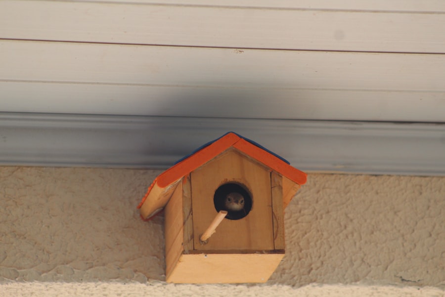 secure home from burglary